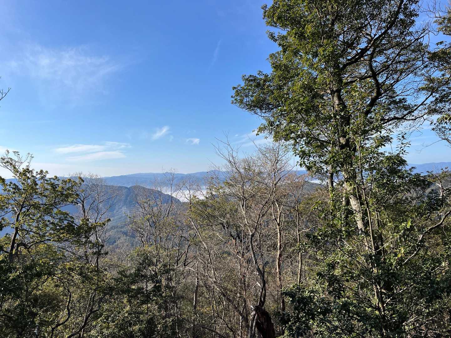 荒神峠からの登りは疲れるので
疲れ切ったところで写真