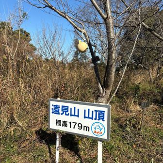 藪漕ぎしながら、何とか山頂まで。
裏海岸で拾った幸せの黄色いブイを掲げました！