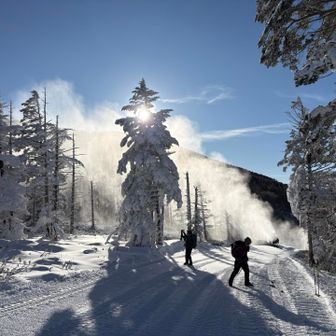 ロープウェイ山頂駅の前で
降雪機が大活躍してました😆そしてそこだけ樹氷が