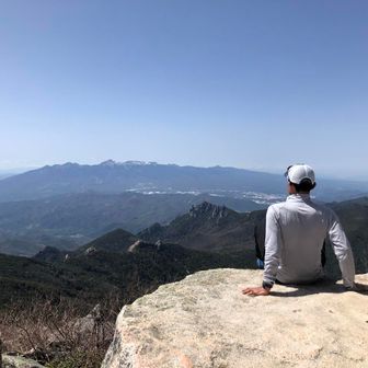 じゃがいもかつどん