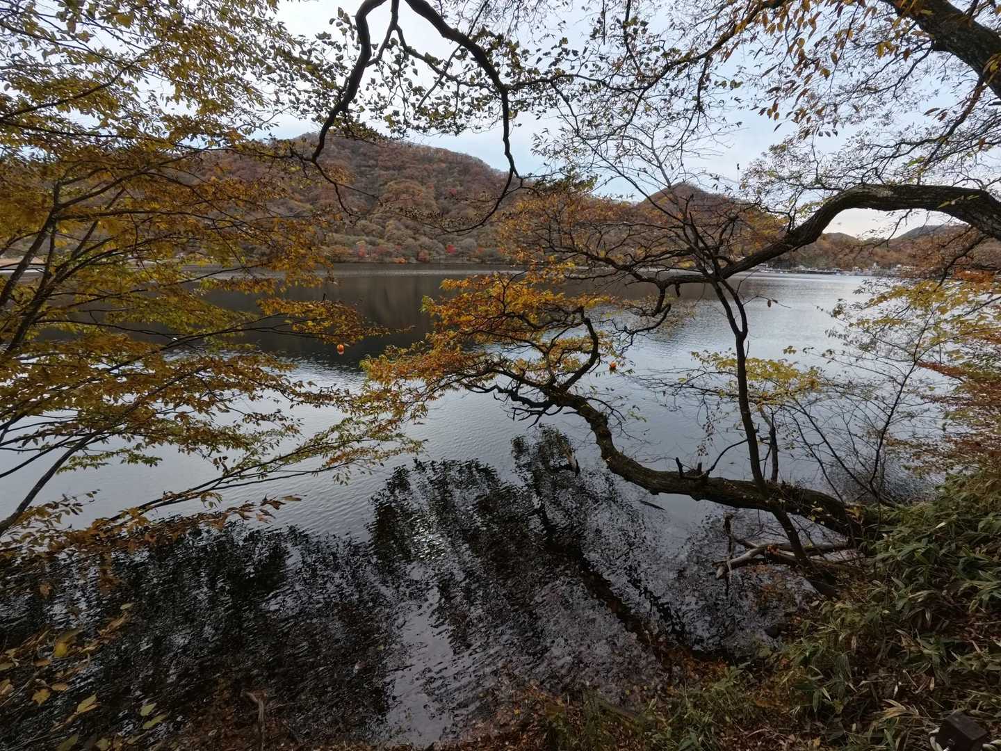とても綺麗ですね🤩