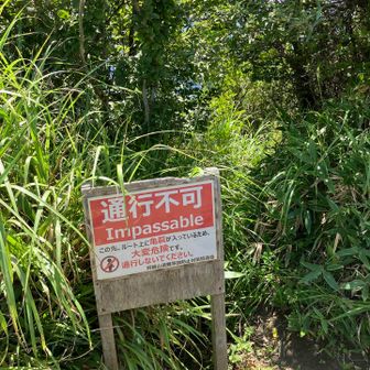 牧場🫏への下りは、通行不可の案内版。