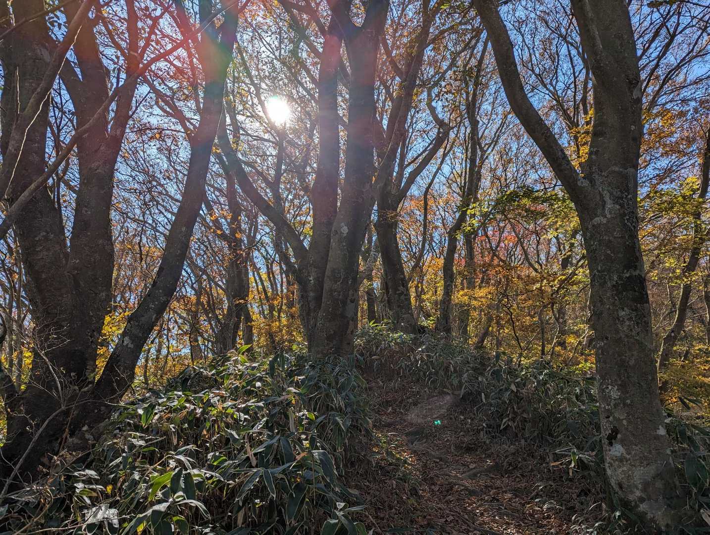 雷山観音前バス停-雷山 往復コースの写真