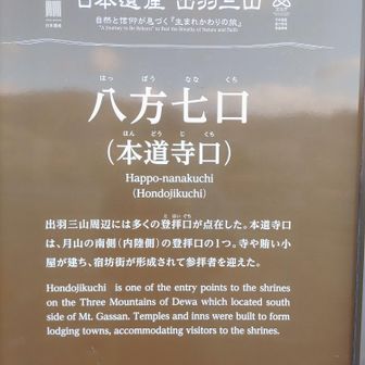 大黒森(旧FCドロンパ)