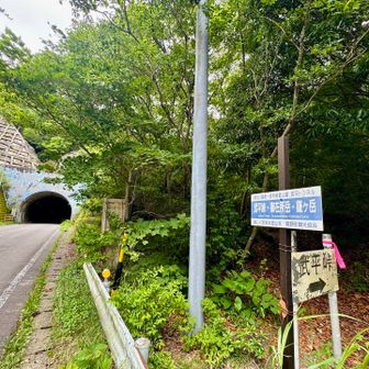 武平峠より登ります🚶‍♀️‍➡️