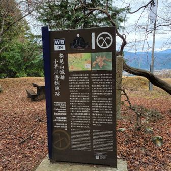 笹尾山を見つめて何を思っていたのか