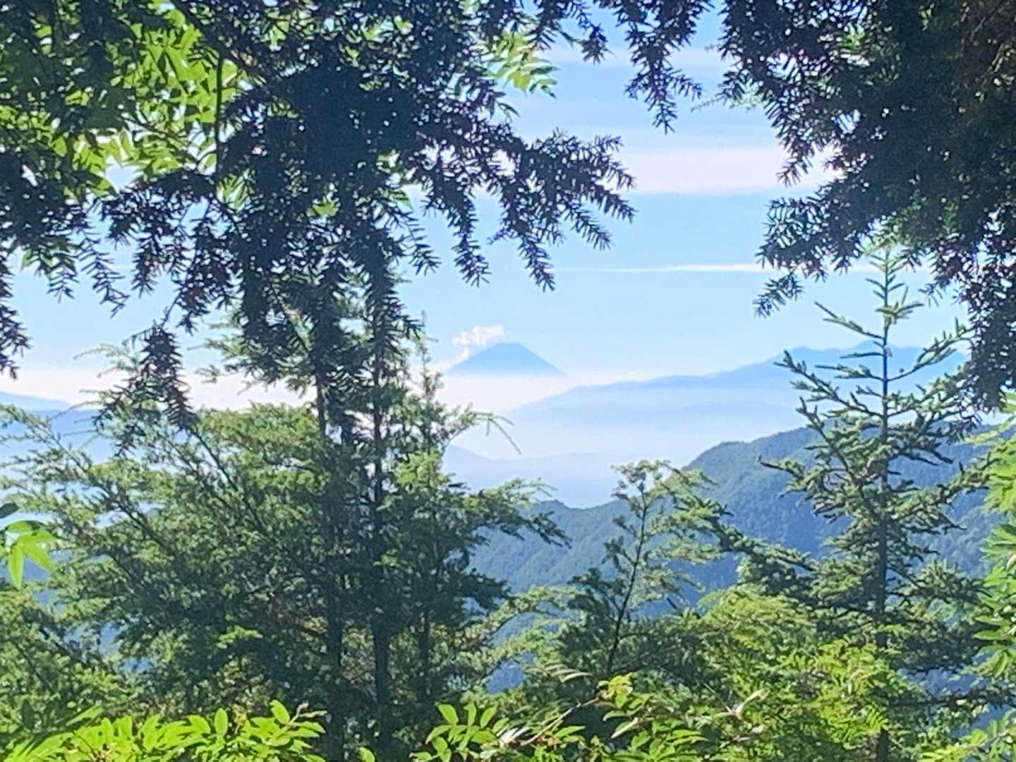 富士見ベンチからも富士山が綺麗に見えました♪