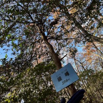 初めて通るコースで登ってきた