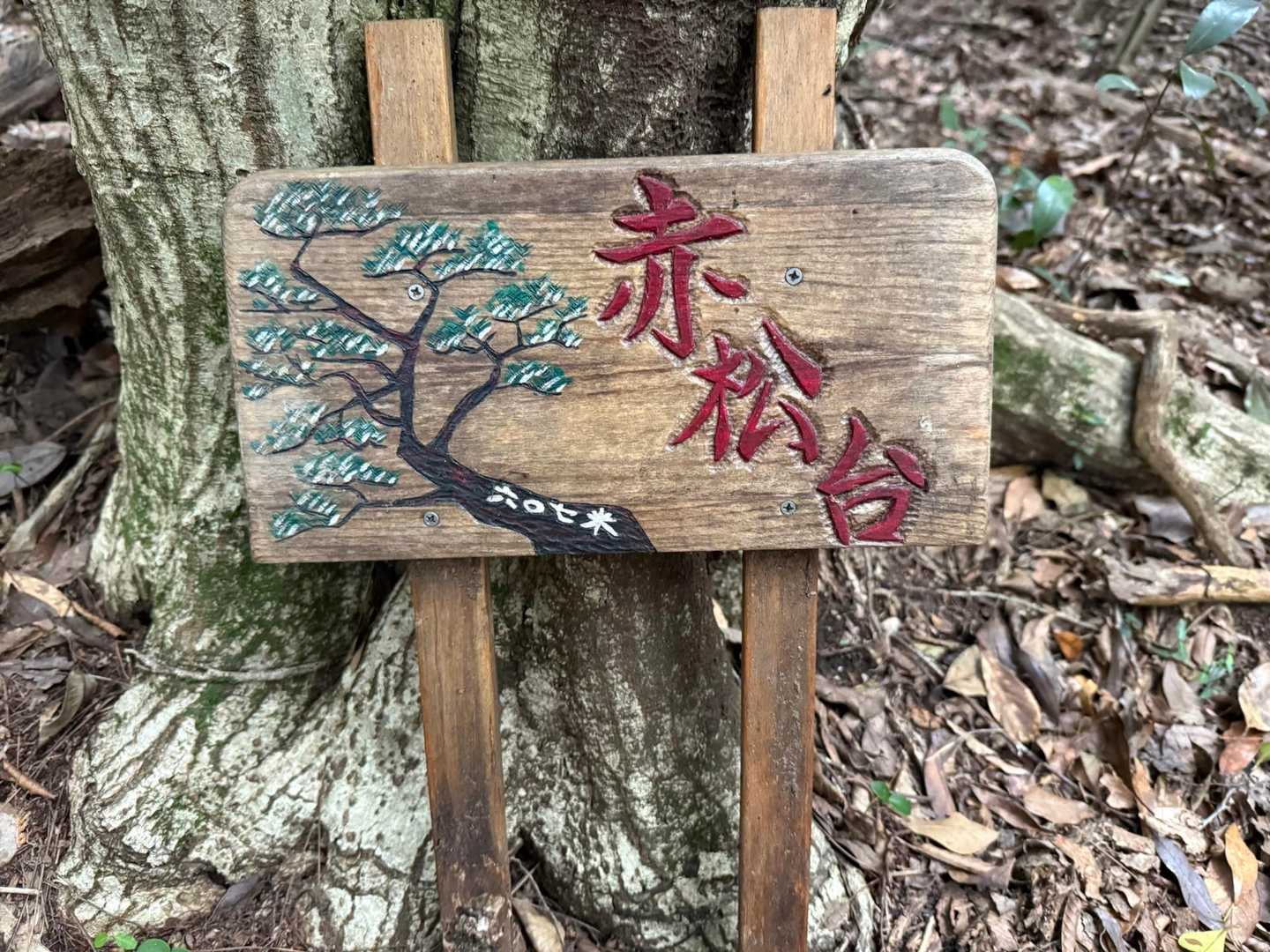 赤松台に登頂‼️標識立派✨
