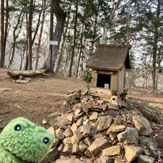 風が冷たいので上着を着ます🐸