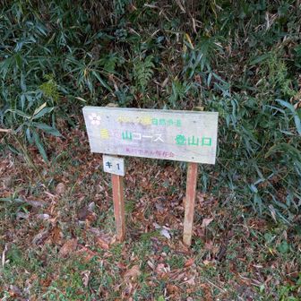 行ってきます。
今日は4時出発🫡
そして日本海を中心に大雪❄️
伊勢湾岸道鈴鹿付近で凄い風でした〜
2つ目の看板撮り忘れたから、もう３つ目から看板は撮らず😊