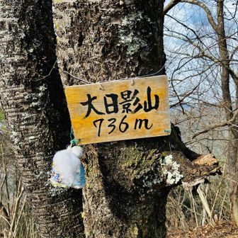 ここまでの区間が一番大変だった