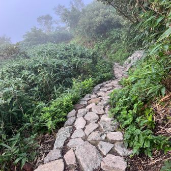 とても整備されていて登りやすいけど、最初からずっと岩で足が疲れた。