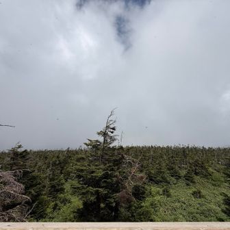 山頂景色