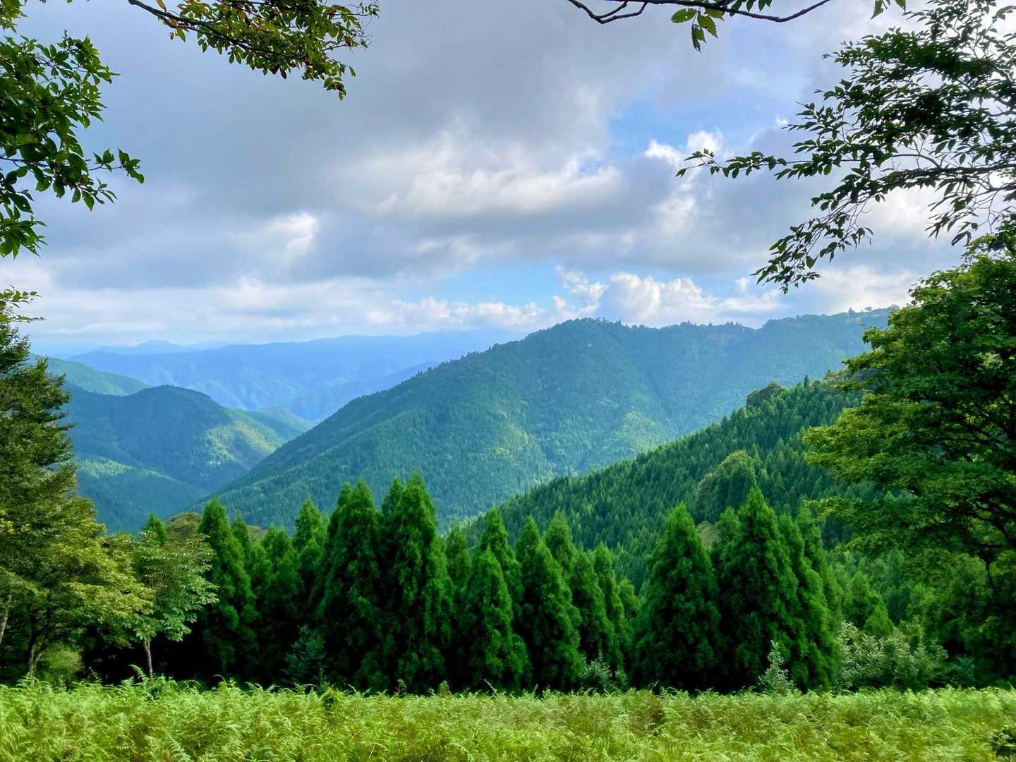 氷ノ山方面