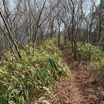 振り返ると、瓢ヶ岳