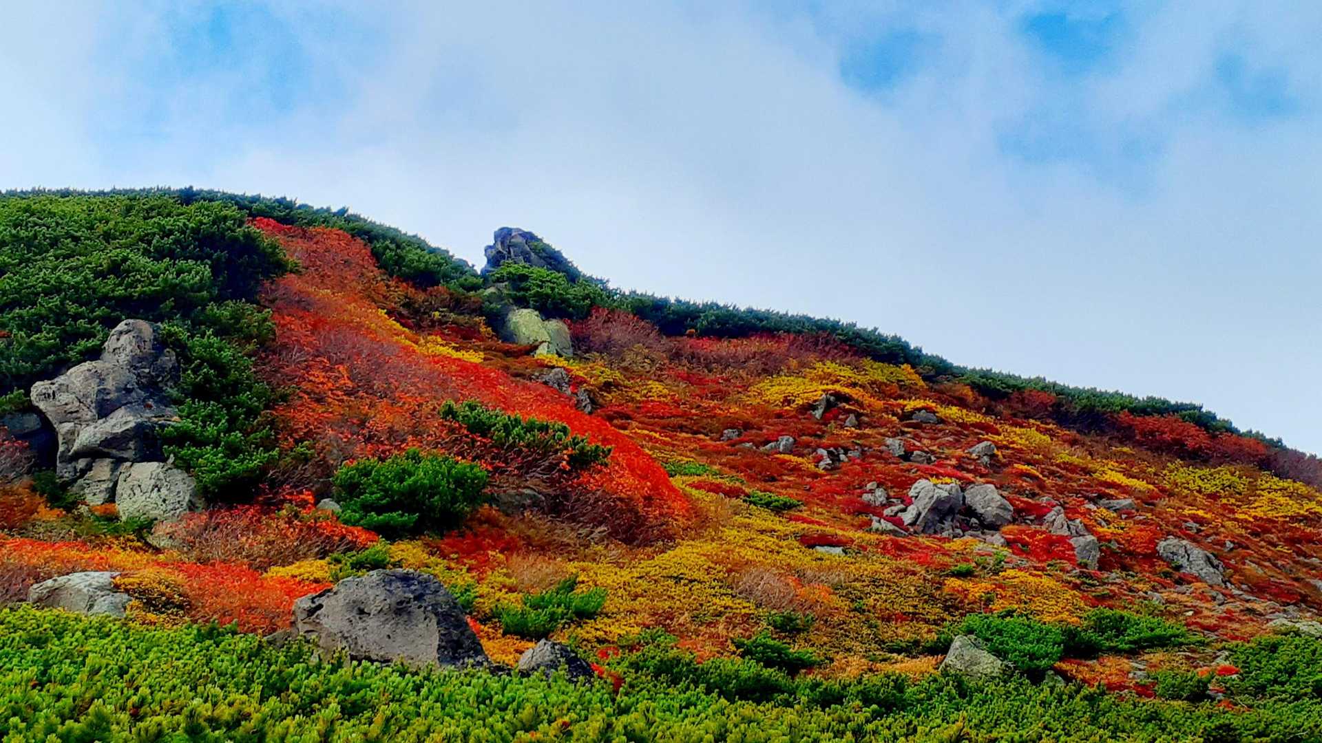 赤岳登山口-第一花園-赤岳-小泉岳 往復コースの写真