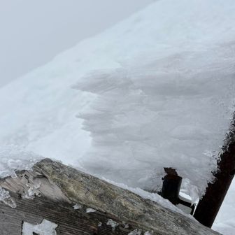 標識の上にエビの尻尾🦐