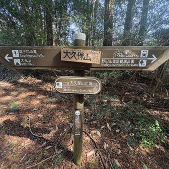 大久保山山頂
特に景観なし