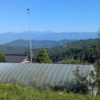 網掛山の駐車場から南アルプス

治部坂高原から移動してきました
