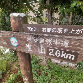 看板に騙され20m以上先の急坂を登り体力消耗した。引き返し、看板から10mの坂が正解。
