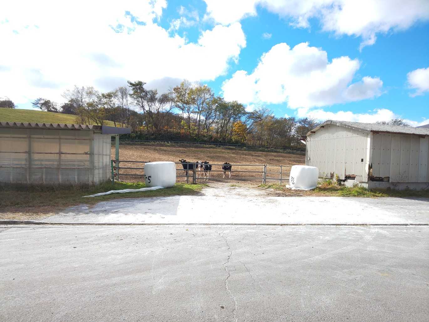 あ！
牛🐮