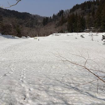 登山口に帰って来ました。まだ車道歩きが続きます。