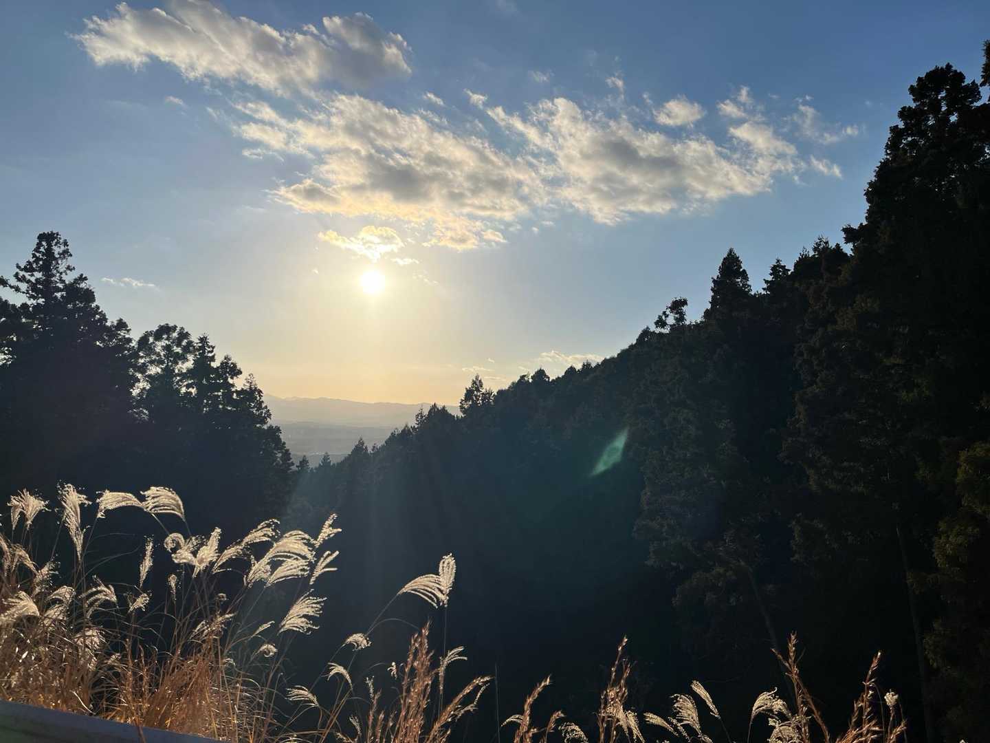 長谷山ハイキングコース入口-長谷寺-長谷山 周回コースの写真