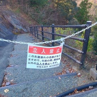 ※フィールドメモ掲載用に追加※