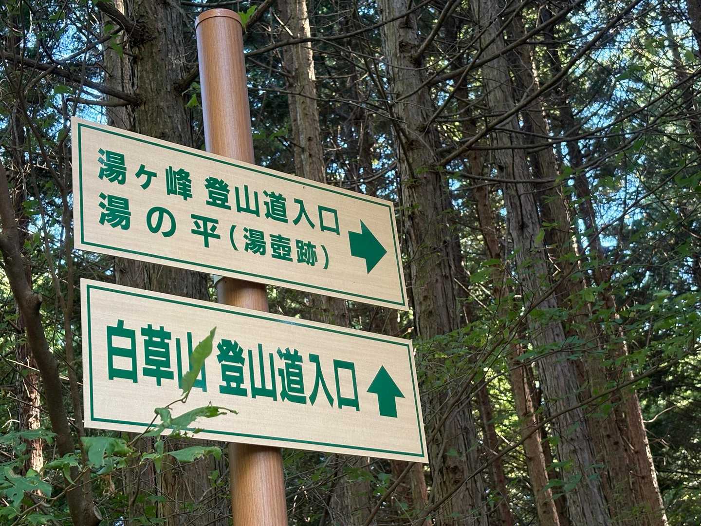 湯ヶ峰 往復コースの写真
