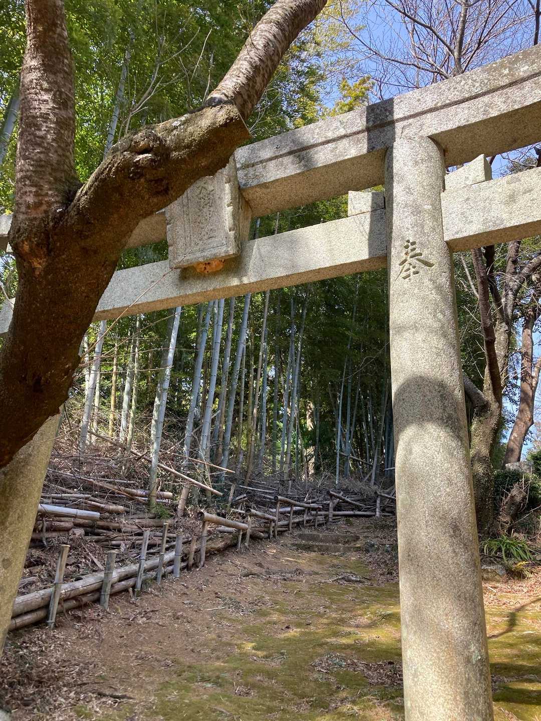 鳥居さんすぎて、