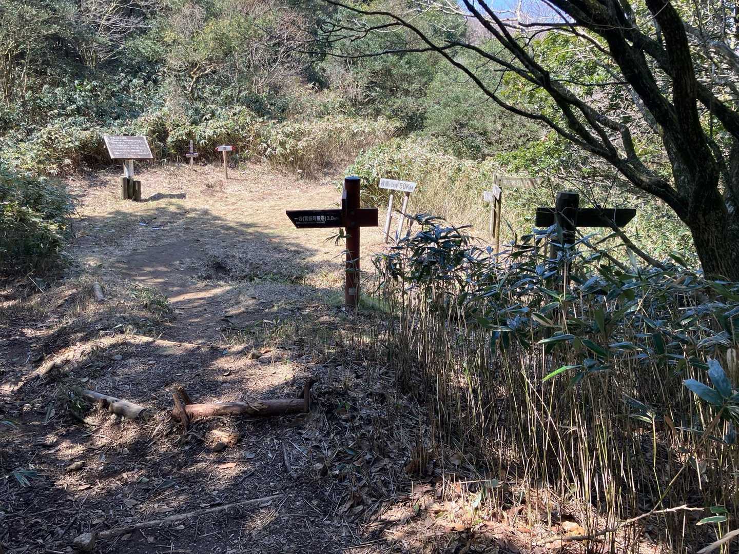 椎原峠です　イヤな予感がします