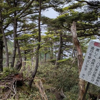 奥袈裟丸山方面は通行禁止。山頂に横倒しにされていた古い道標には「奥袈裟丸山 0.8km」と書かれてました