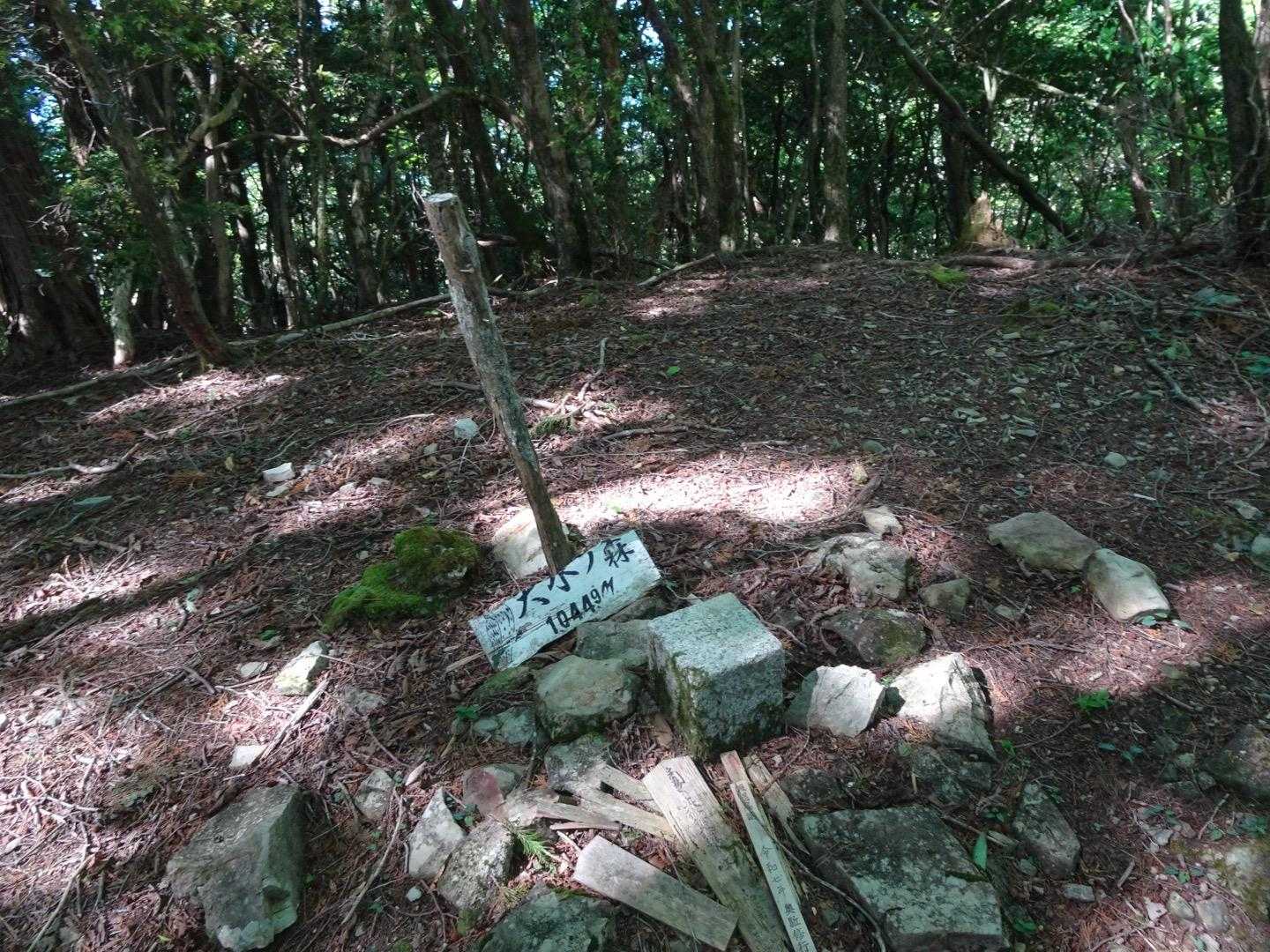 大水ノ森🌳？到着❣️