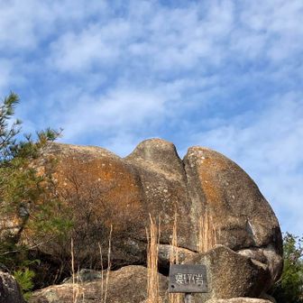 これが噂のネモアイ岩🪨ですね。