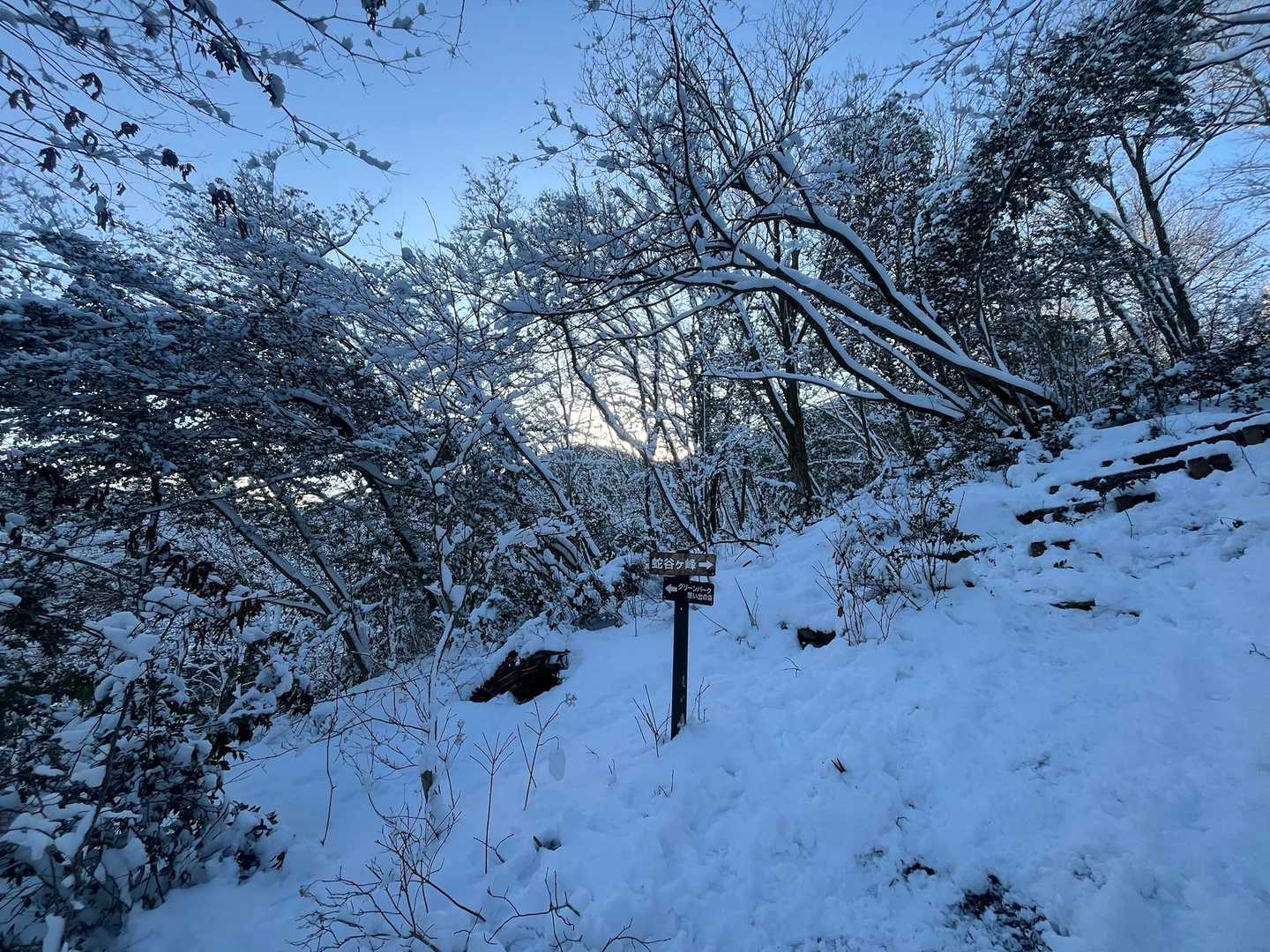 雪も多くなってきた❄️
