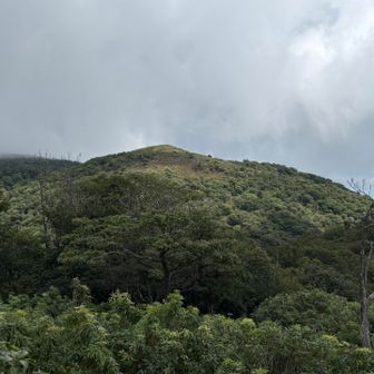 ホッケ山の山頂が見えてきた