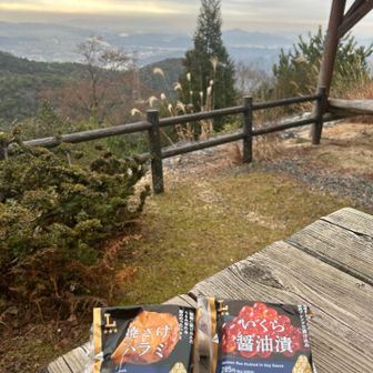 昼食はコンビニおにぎり🍙