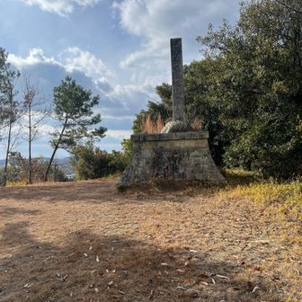 神吉山山頂付近　山頂表示は無さそう
