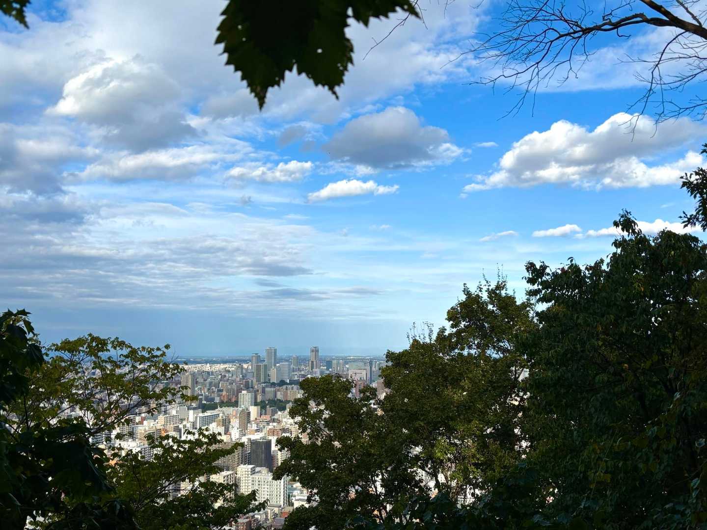 円山 往復コースの写真
