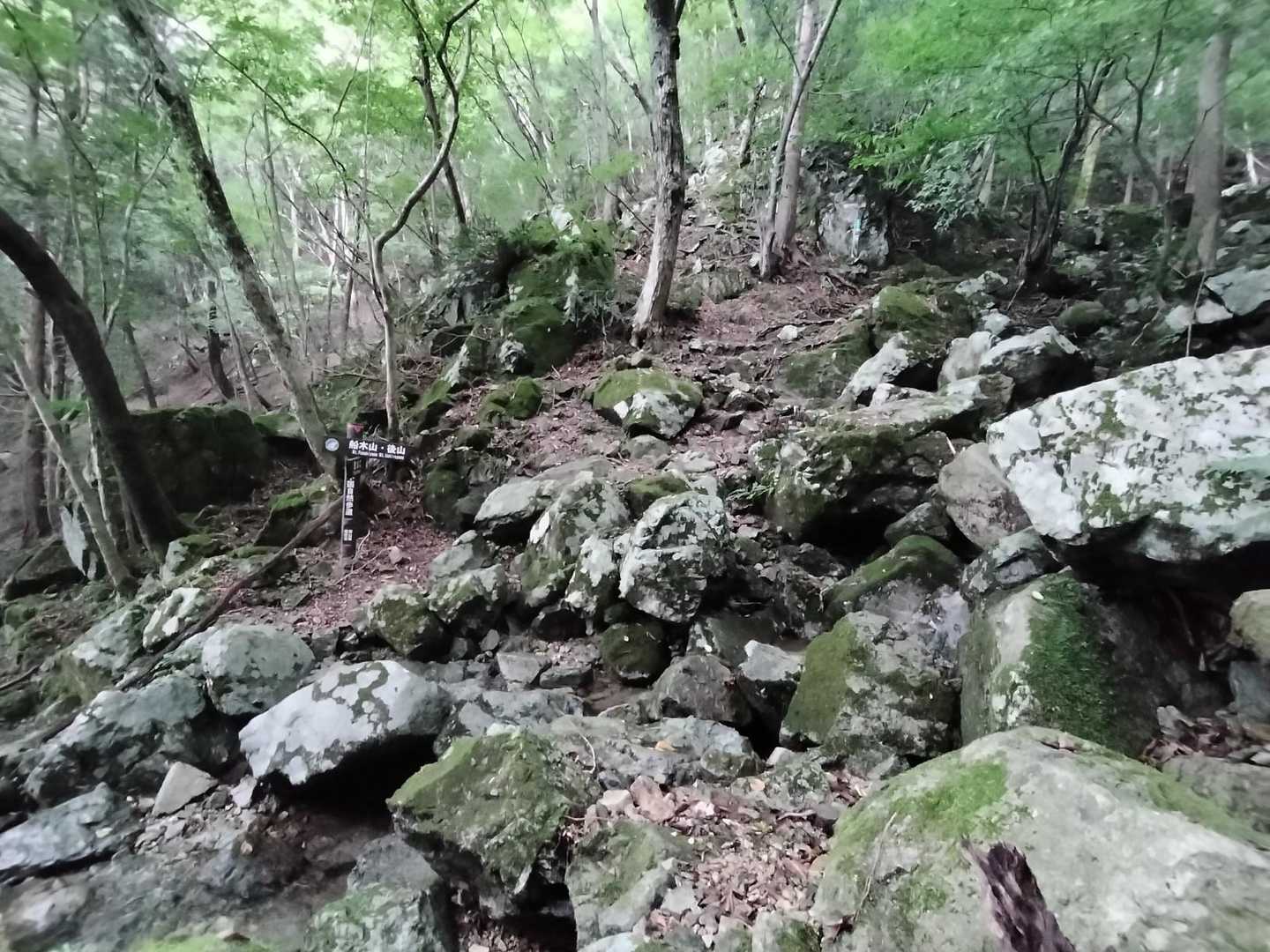 なかなかな急登が続きます😆雨が降ったり降らなかったりで涼しく歩けました🚶