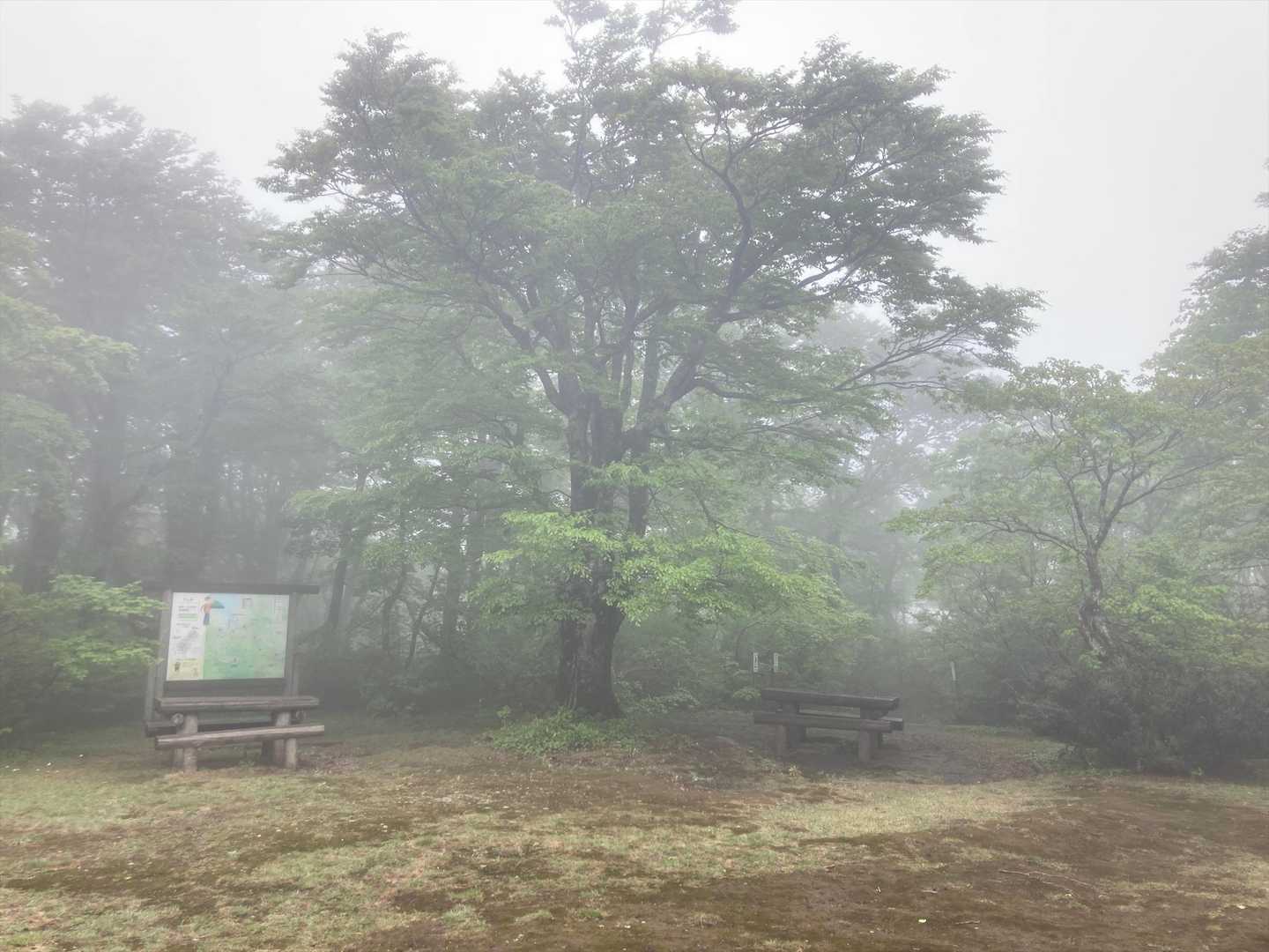 山頂は広くてベンチもあります
晴れてたらゆっくりしたい場所ですね