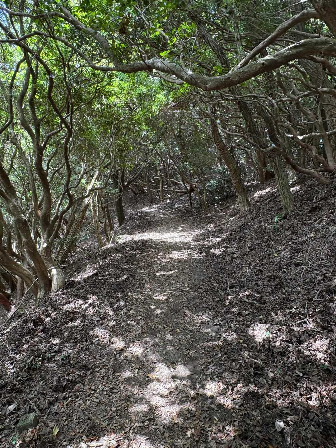 　暑いので無理せずササッと下山🥵💦