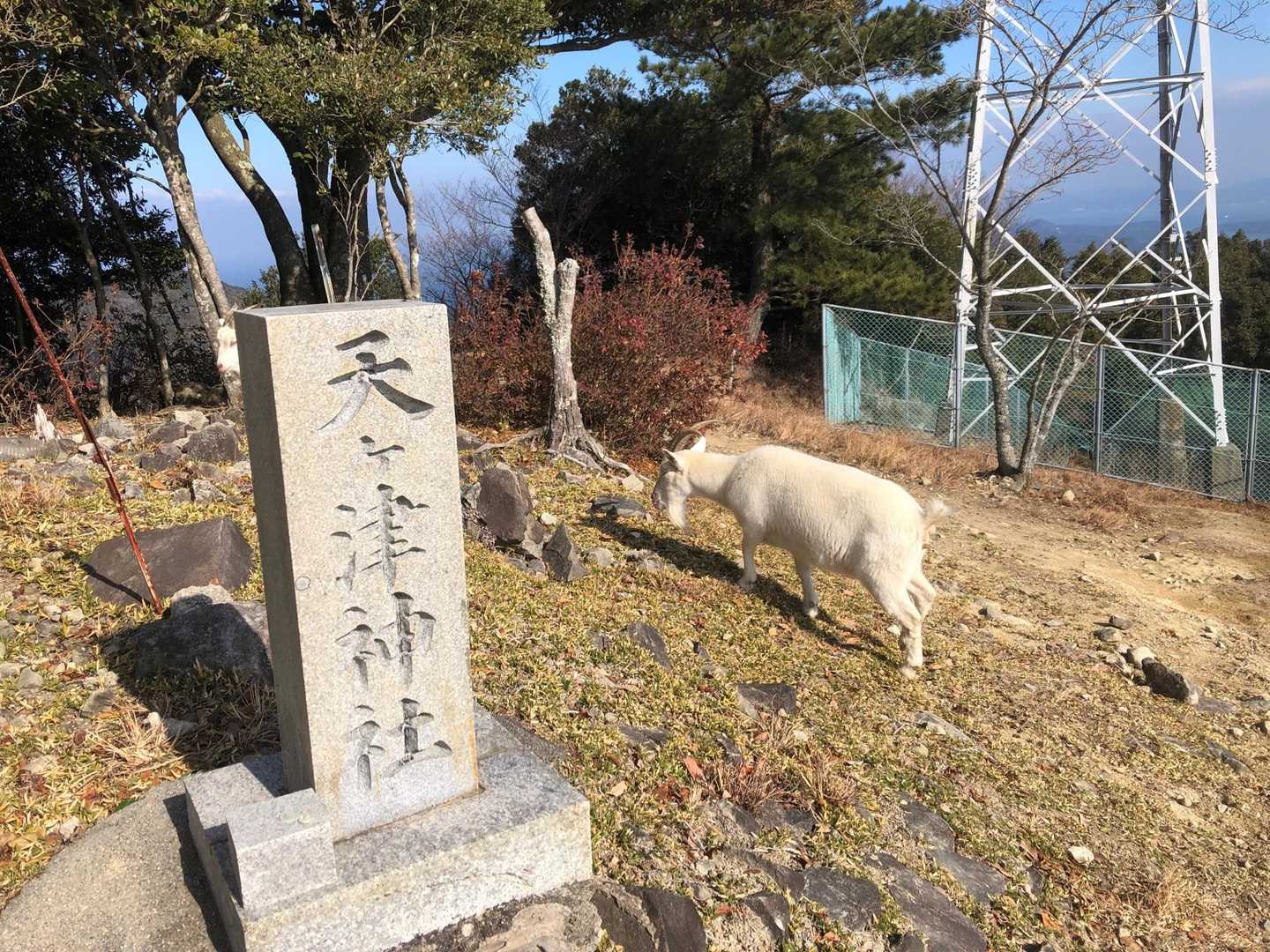 西尾根コース登山口-剣ヶ峰-みふみ山 周回コースの写真