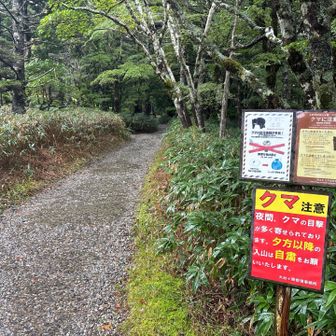 八経ヶ岳から移動して来ました。

こちらはクマ注意！
雨降ってるのでレイン着て走って行きます。