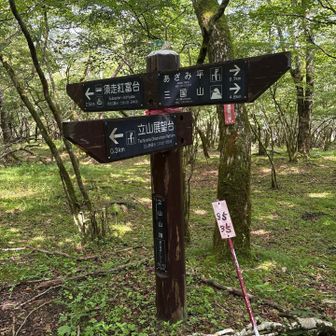 案内標識兼用の山名標識。