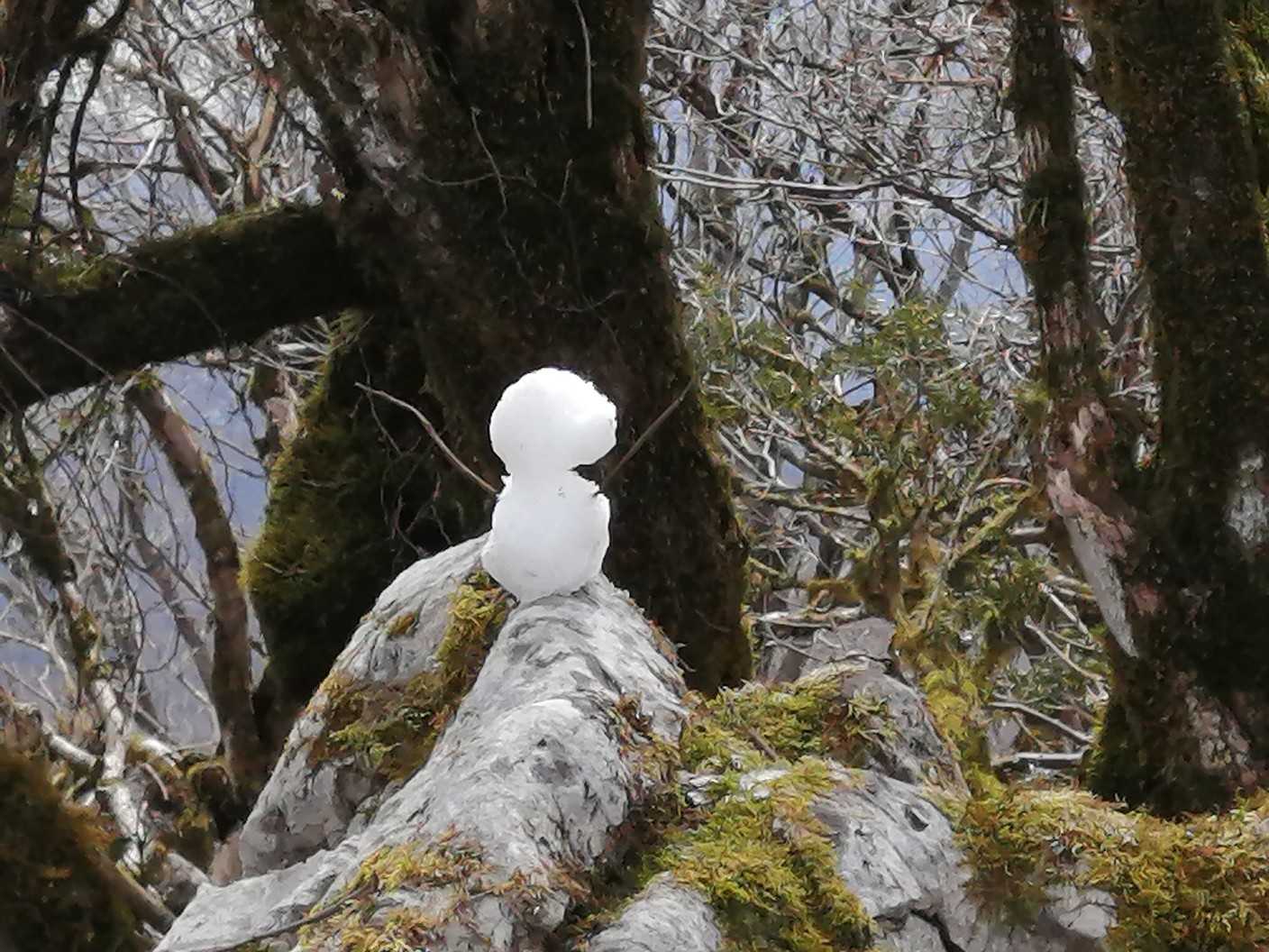 雪だるま⛄