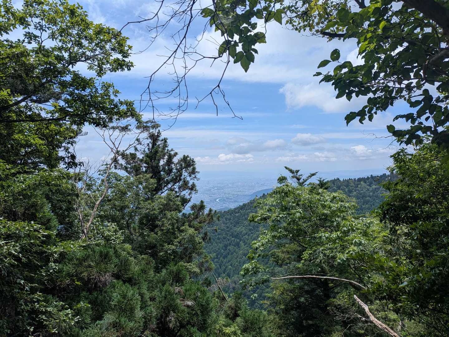 愛宕神社参詣表登山道入口-サカサマ峠 周回コースの写真