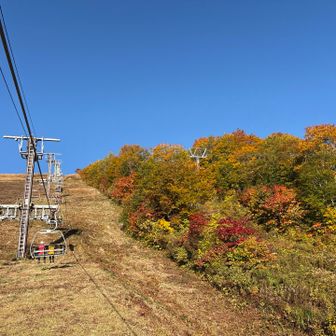 ゴンドラの、次はリフトで。
紅葉🍁めっちゃ綺麗です👍