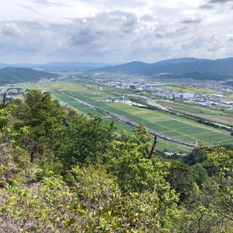 １号線